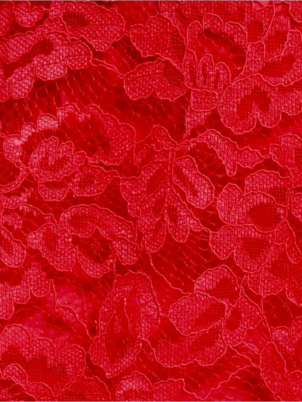 Tahari ASL Scallop Hem Raspberry Lace Fit & Flare Dress Size 10 MSRP $159 NWOT - Picture 6 of 8